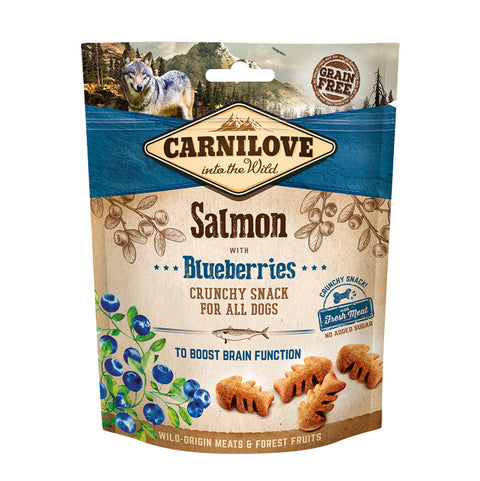 Dog snacks salmon och blueberries