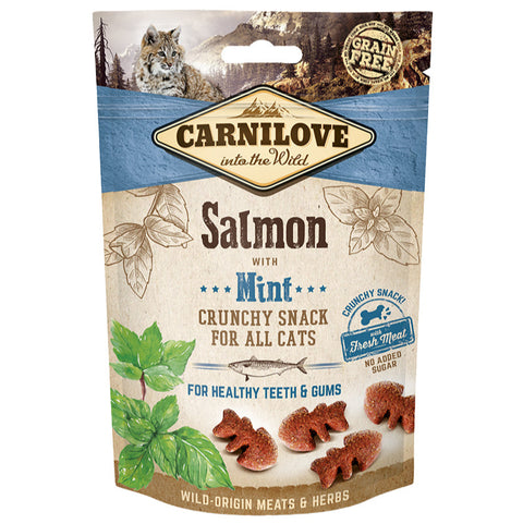 Cat crunchy snacks Salmon with snacks